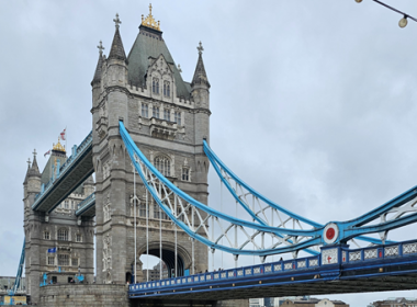 บทความบล็อก CPF